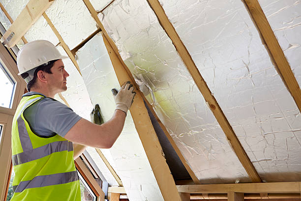 Best Insulation Replacement Services  in Gentry, AR